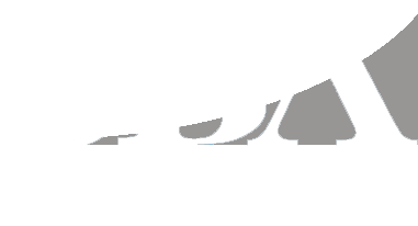 SBA 8(a) Certified