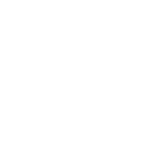 SDVOSB CVE Certified